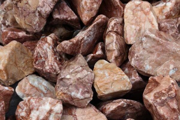 psifida_red psifida_red